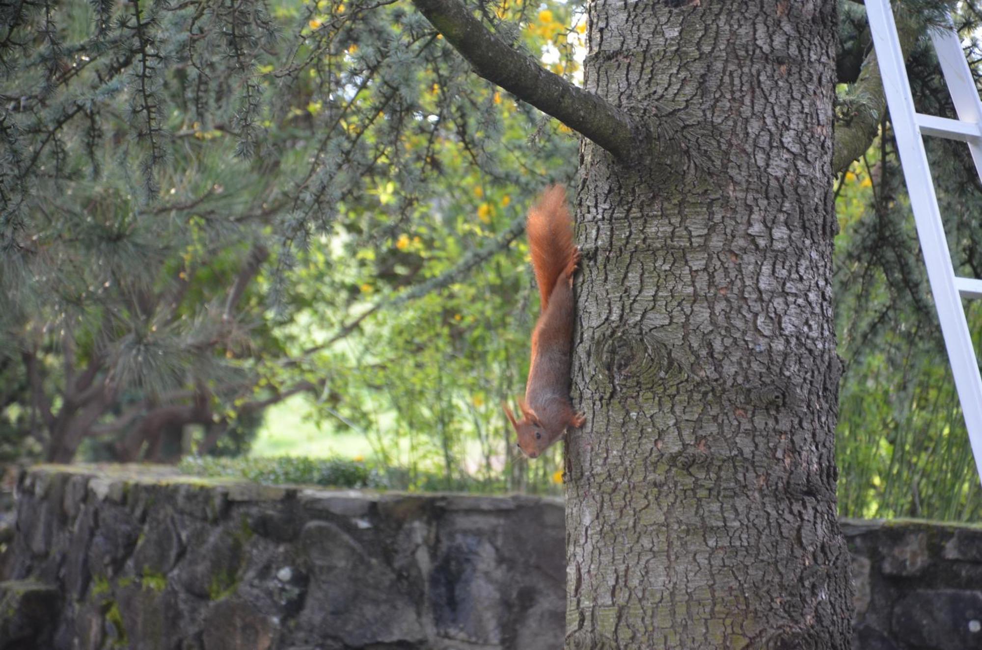 Domaine Insolite Du Petit Moras Chomerac Exterior photo